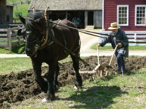 Plowing-hard work 1830
